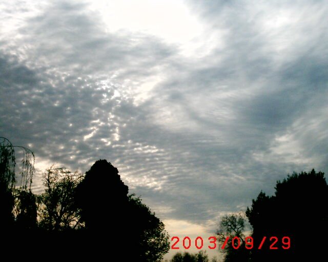 Orgone, zapper, orgone zapper, chemtrails, orgone energy, parasite zapper, how to stop chemtrails, orgone pendant, hulda clark zapper, illuminati chemtrails, orgone therapy, clark zapper, chemtrails pilot, chi orgone prana reiki, pain zapper, chemtrails contrails, orgone device, cancer zapper, ufo chemtrails, orgone pyramid, alternative parasite zapper, sylphs chemtrails, pyramid orgone generator, don croft zapper, audio chemtrails mp3, orgone box, how to make orgone, super zapper deluxe, chemtrail, wilhelm reich orgone, dr hulda clark zapper, chemtrail central, build orgone pyramid, mini zapper by don croft, chemtrail plane, bedini john orgone, zapper instructions, cell joe motot orgone, orgone blasters, energy force orgone prana vital, orgone hhg