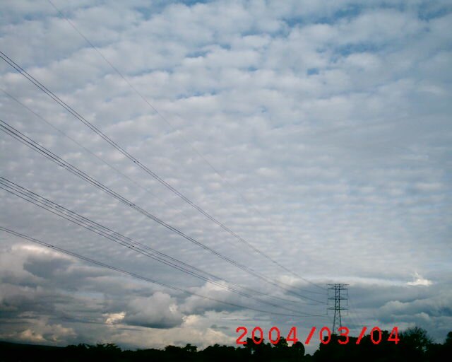 Orgone, zapper, orgone zapper, chemtrails, orgone energy, parasite zapper, how to stop chemtrails, orgone pendant, hulda clark zapper, illuminati chemtrails, orgone therapy, clark zapper, chemtrails pilot, chi orgone prana reiki, pain zapper, chemtrails contrails, orgone device, cancer zapper, ufo chemtrails, orgone pyramid, alternative parasite zapper, sylphs chemtrails, pyramid orgone generator, don croft zapper, audio chemtrails mp3, orgone box, how to make orgone, super zapper deluxe, chemtrail, wilhelm reich orgone, dr hulda clark zapper, chemtrail central, build orgone pyramid, mini zapper by don croft, chemtrail plane, bedini john orgone, zapper instructions, cell joe motot orgone, orgone blasters, energy force orgone prana vital, orgone hhg